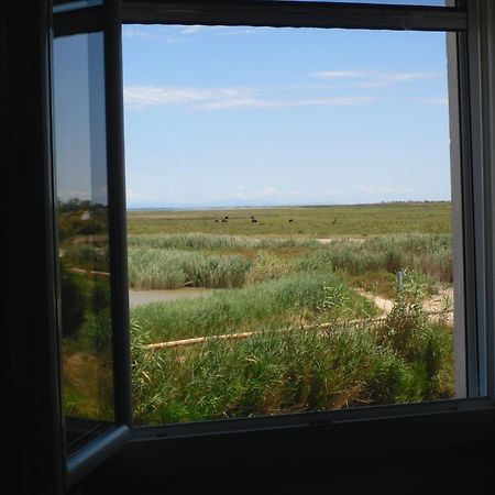Chambre Les Flamants, Avec Vue Imprenable Sur Les Etangs, Les Oiseaux, La Nature, Petit Dejeuner Compris Сен Мари де ла Мер Екстериор снимка