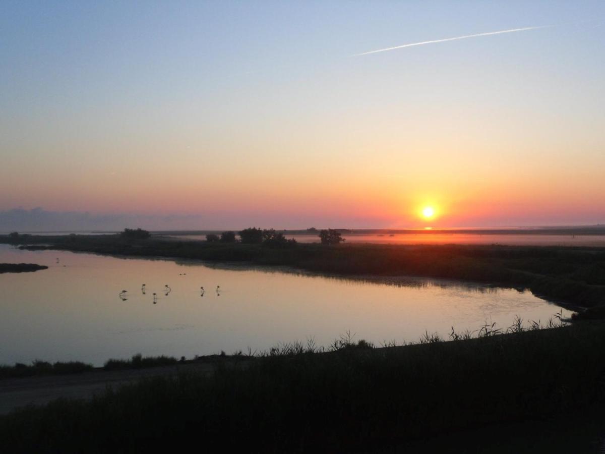 Chambre Les Flamants, Avec Vue Imprenable Sur Les Etangs, Les Oiseaux, La Nature, Petit Dejeuner Compris Сен Мари де ла Мер Екстериор снимка