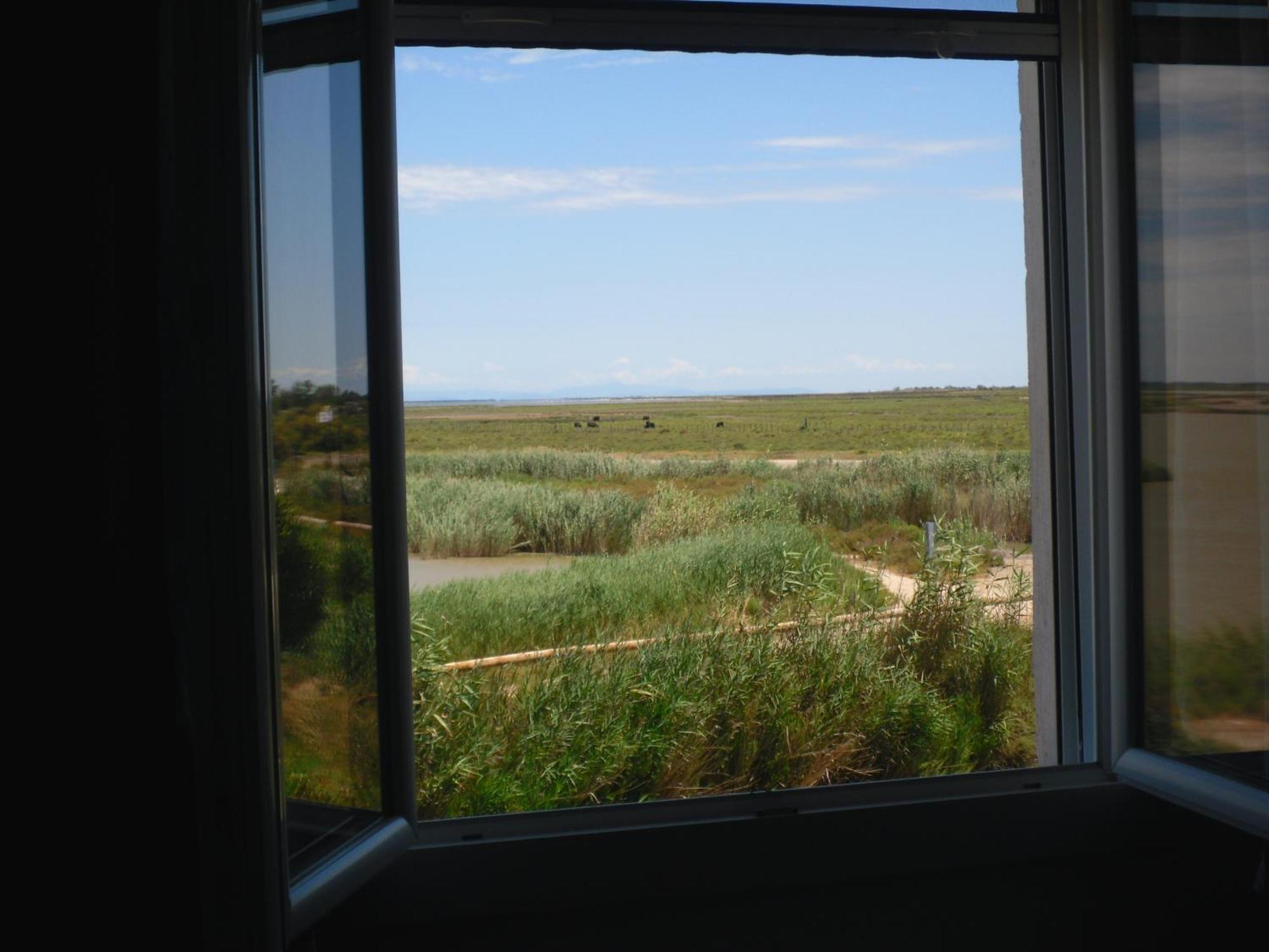 Chambre Les Flamants, Avec Vue Imprenable Sur Les Etangs, Les Oiseaux, La Nature, Petit Dejeuner Compris Сен Мари де ла Мер Екстериор снимка